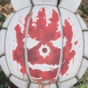 Restore Your Island Wilson! Achievement