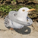 Restore Your Island Seabird Rescuer Achievement
