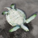 Restore Your Island Giant Turtle Savior Achievement