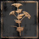KeepUp Survival COLLECT FIBER Achievement