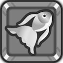 Fishing Fever