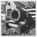 Buy the First Cannon