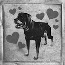 TR6 | Good Boys