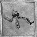 TR4 | De-eskullation