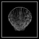 Big Shell Specialist achievement