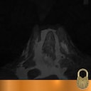 Take the Scenic Route achievement