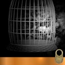 The Birdman of The Caves achievement