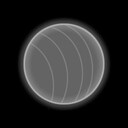 Portal