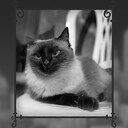 Lua