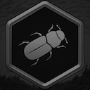 The Beetles