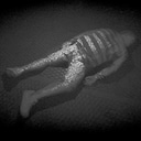 A Human Being achievement