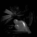 Unforgivable achievement