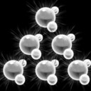 Atoms Make Up Everything
