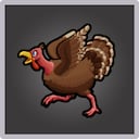 Such a Turkey