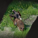 Ultimate Hunter