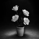 Sowing Hope