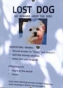Lost dog found